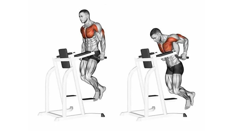 5 TOP TRICEP EXCERCISES TO MUSCULAR ARMES – Inside Closets, Fashion ...